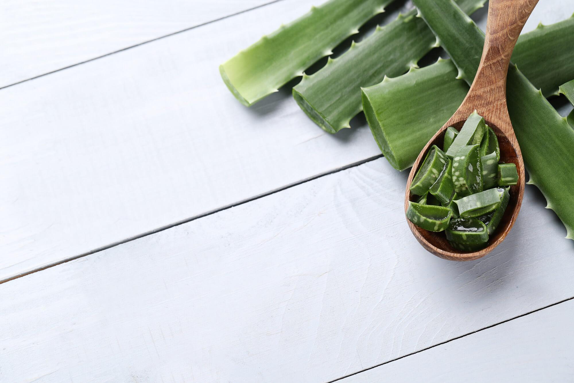 La sábila (aloe vera): un tesoro natural para la nutrición y la salud